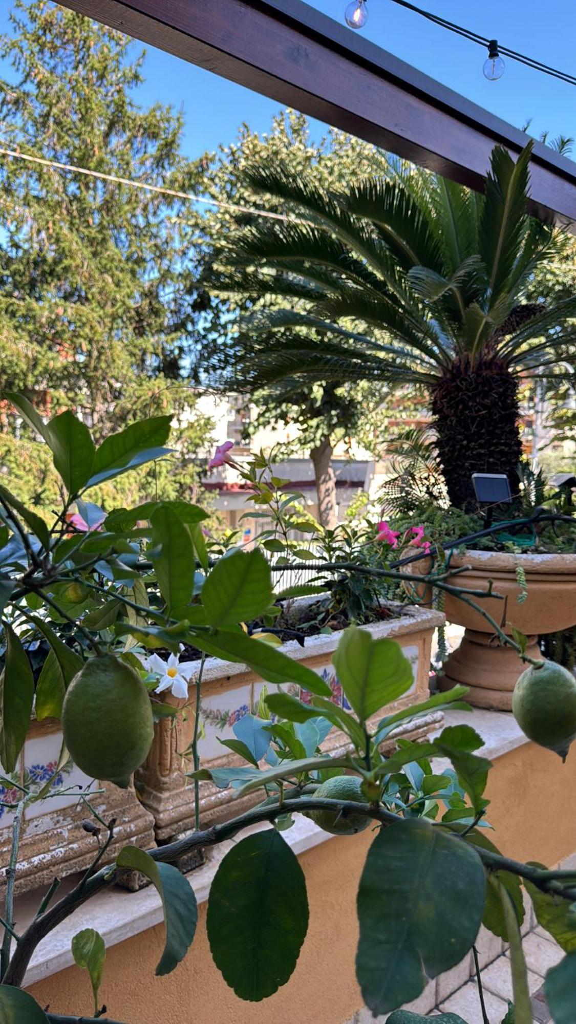 Relais Sorrento Terrace And Relax Bed & Breakfast Eksteriør bilde